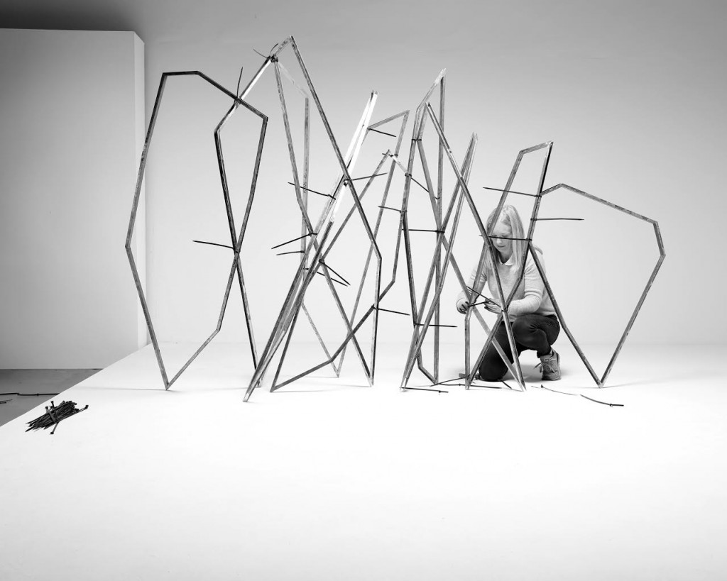 Niamh Barry, Walking, IRE, 2015 (in progress)