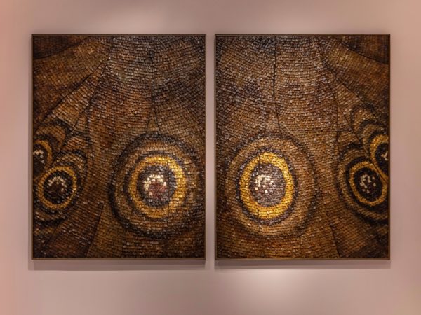 ToddMerrillCollectible-12